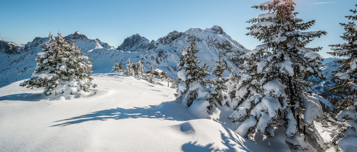 Herzlich Willkommen Im Haus Vroni In Tannheim