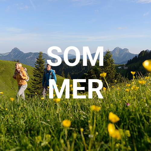 Tannheimer Tal im Sommer